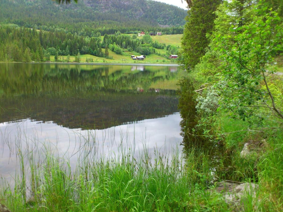 Leilighet I Amotsdal ภายนอก รูปภาพ