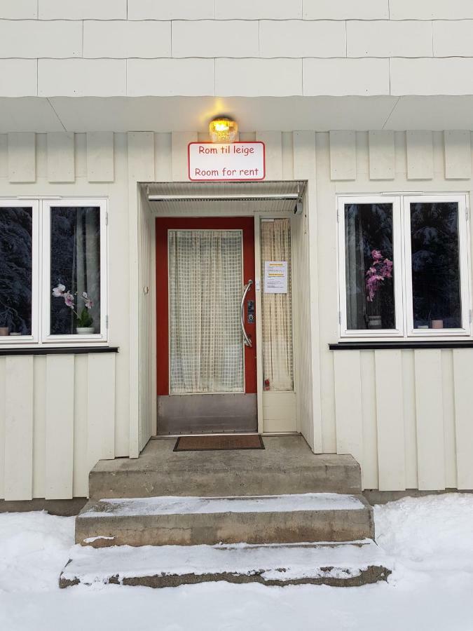 Leilighet I Amotsdal ภายนอก รูปภาพ