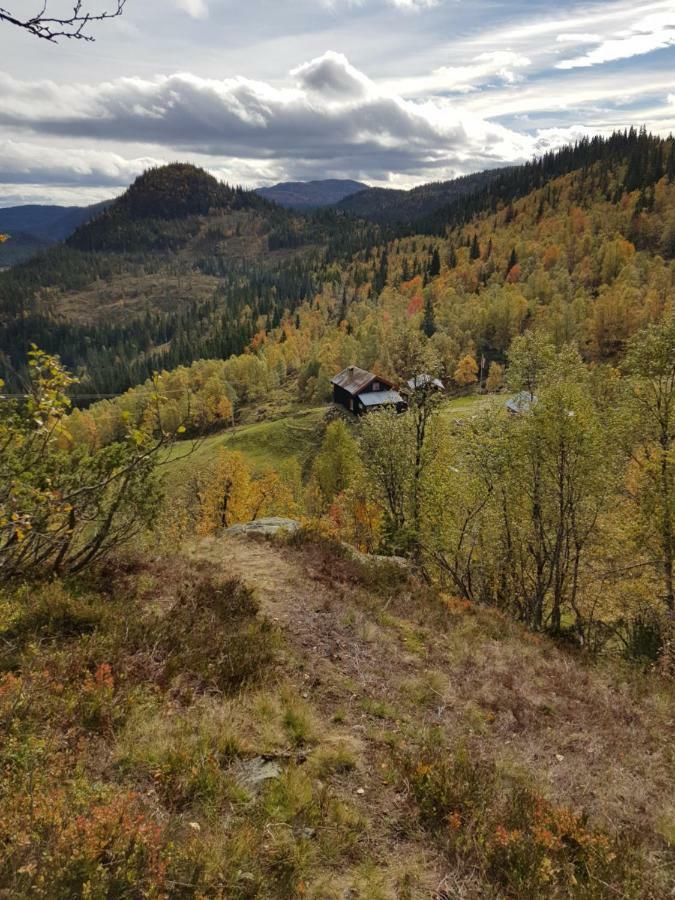 Leilighet I Amotsdal ภายนอก รูปภาพ