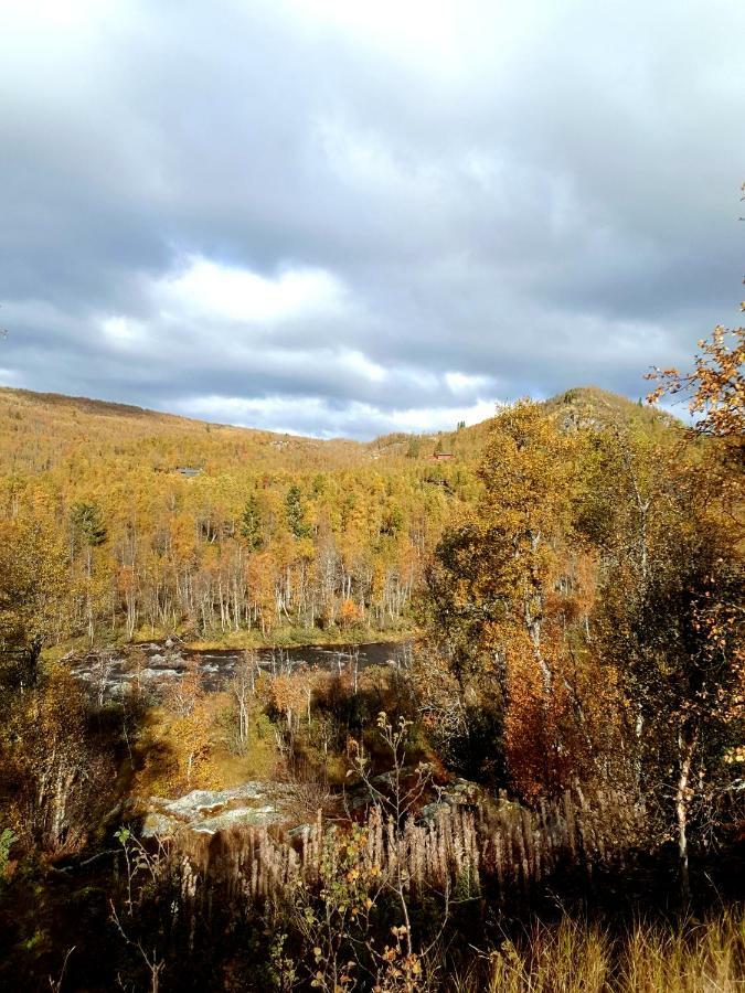 Leilighet I Amotsdal ภายนอก รูปภาพ