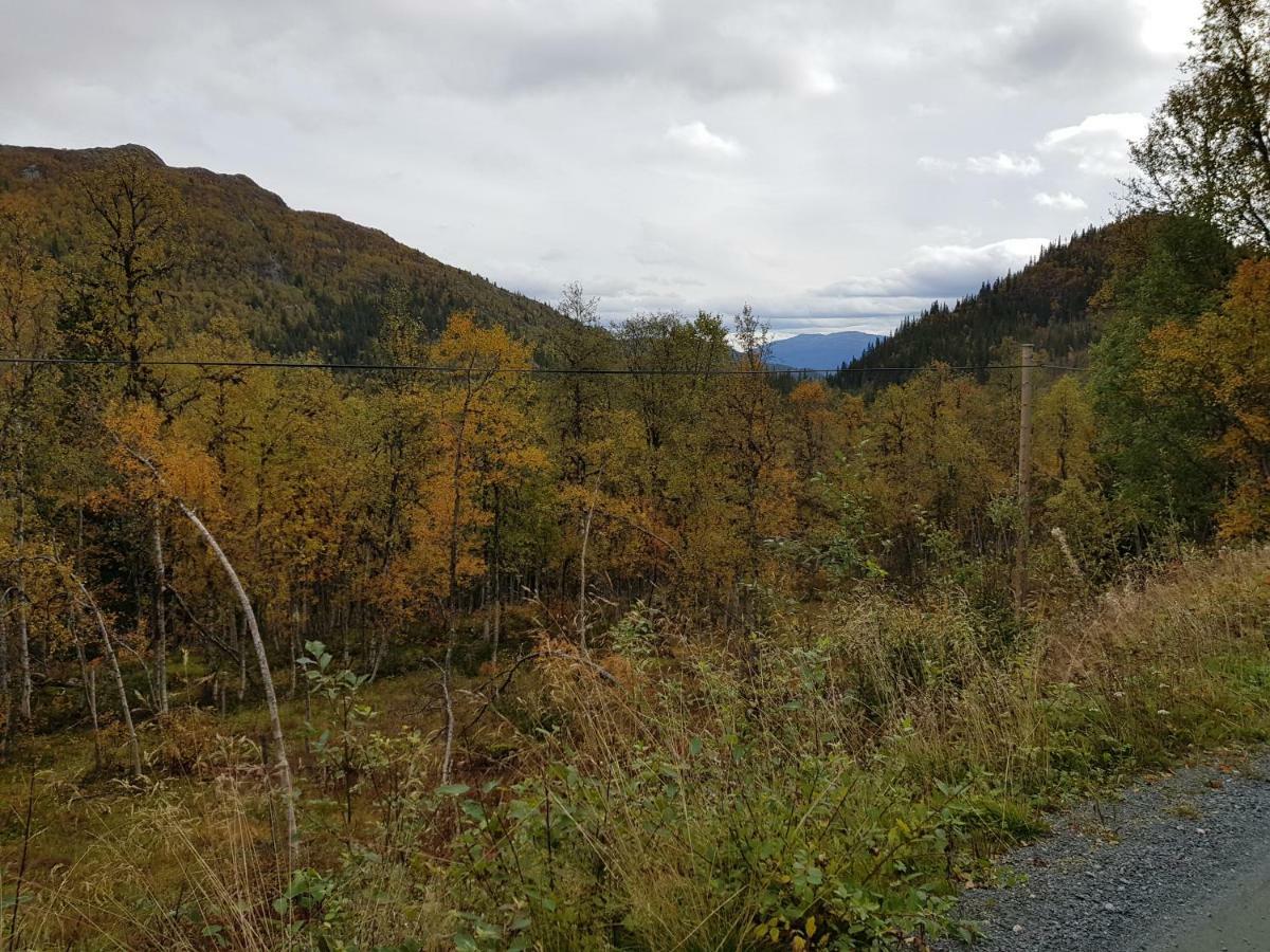 Leilighet I Amotsdal ภายนอก รูปภาพ