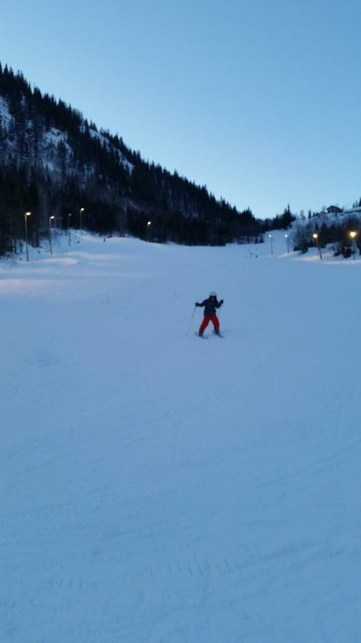 Leilighet I Amotsdal ภายนอก รูปภาพ